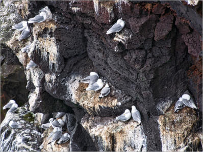 Halbinsel Snæfellsnes, Island
