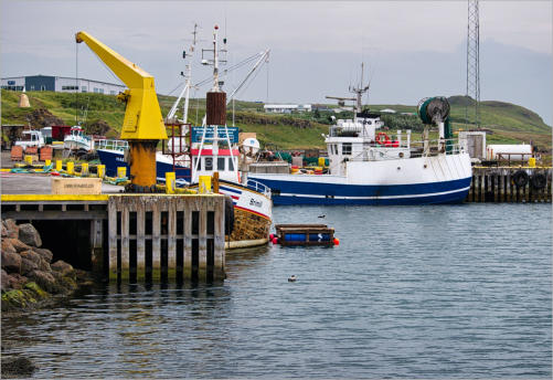 Hvammstange - Halbinsel Vatnsnes, Island