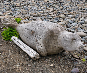 Hvammstange - Halbinsel Vatnsnes, Island