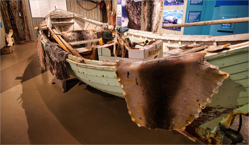 Hvammstange - Halbinsel Vatnsnes, Island