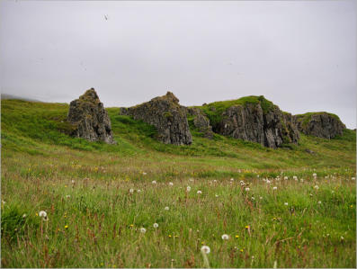 Illugastaðir  Seal-Watching, Island