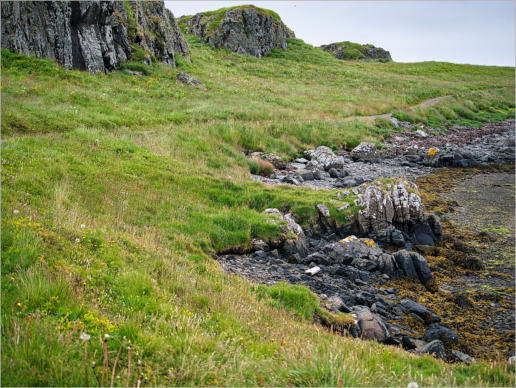 Illugastaðir  Seal-Watching, Island