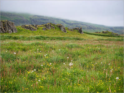 Illugastaðir  Seal-Watching, Island