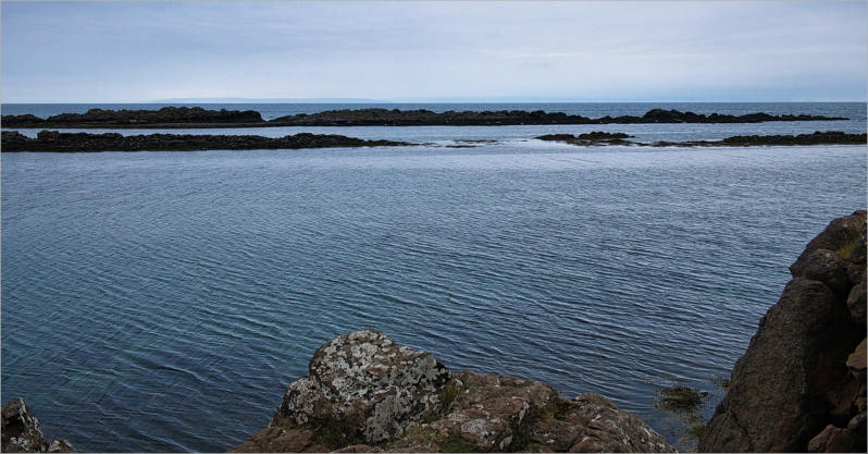 Illugastaðir  Seal-Watching, Island