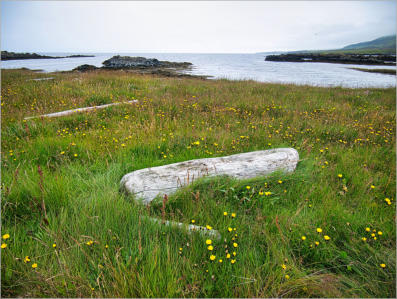 Illugastaðir  Seal-Watching, Island