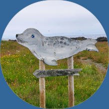 Illugastaðir  Seal-Watching, Island