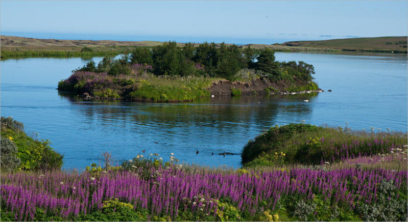 Nordisländische Impressionen