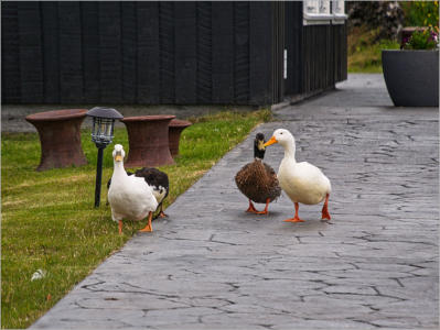 The Maritime Museum in the Fishermans Garden, Halbinsel Snæfellsnes, Island
