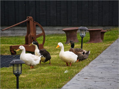 The Maritime Museum in the Fishermans Garden, Halbinsel Snæfellsnes, Island