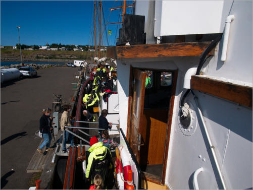 Whale-Watching mit North Sailing - Husavik, Island