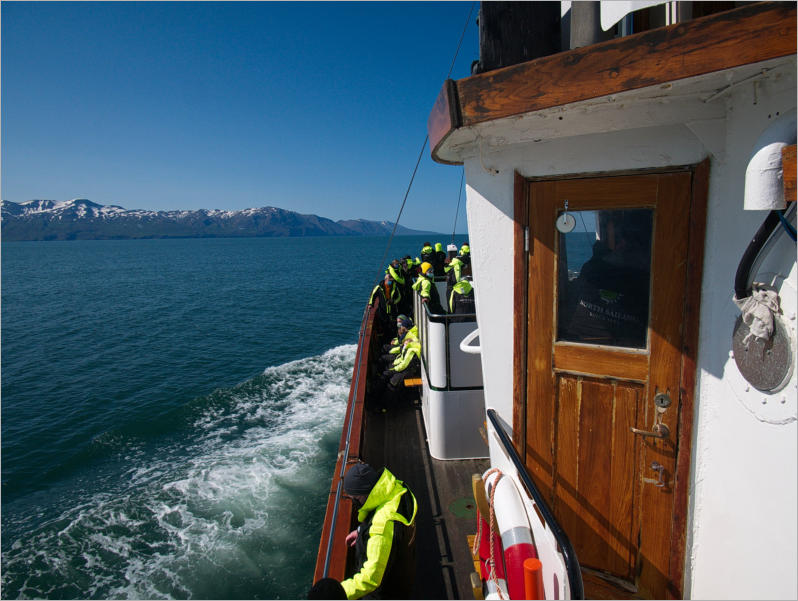 Whale-Watching mit North Sailing - Husavik, Island