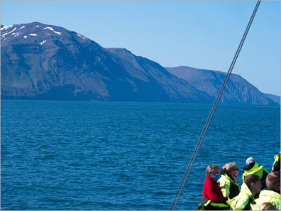 Whale-Watching mit North Sailing - Husavik, Island