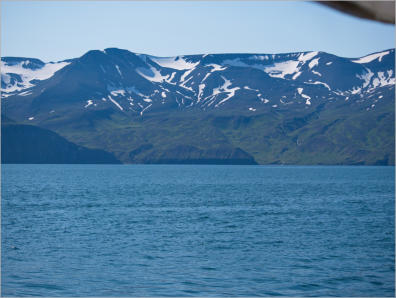 Whale-Watching mit North Sailing - Husavik, Island