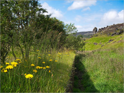 Ytri-Rauðamelskirkja und Umgebung, Island