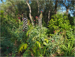 Park Güell - Barcelona, ES