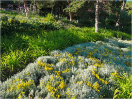 Park Güell - Barcelona, ES
