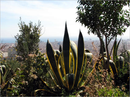 Park Güell - Barcelona, ES