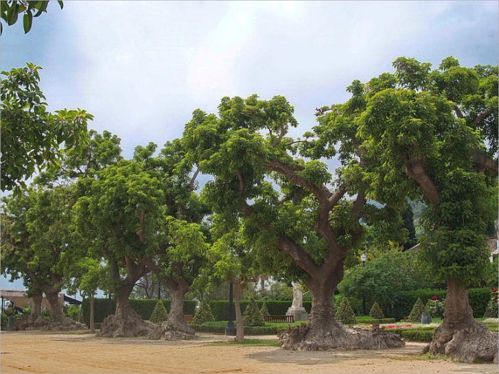 Plaça de l'Armada - Barcelona, ES