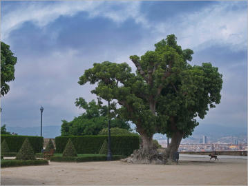 Plaça de l'Armada - Barcelona, ES