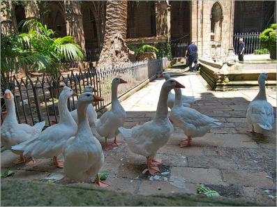 Seufzerbrücke im Barri Gotic - Barcelona, ES