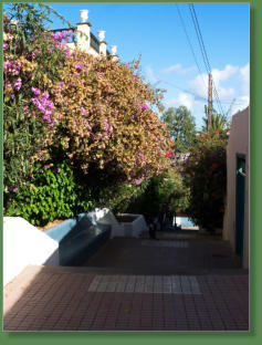 Puerto de la Cruz, Teneriffa