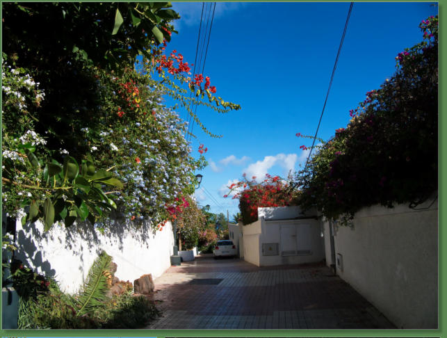 Puerto de la Cruz, Teneriffa