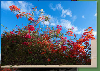 Puerto de la Cruz, Teneriffa
