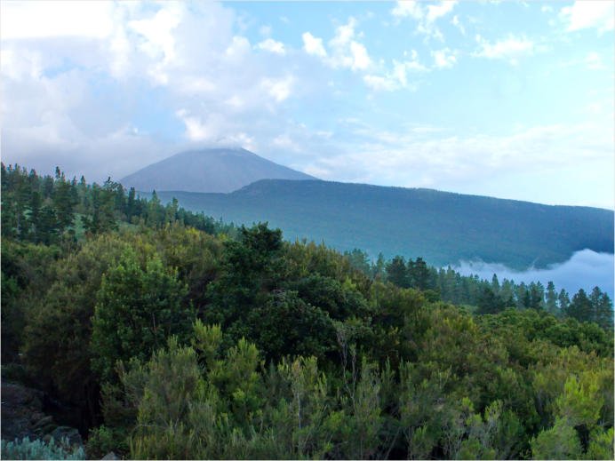 Nationalpark Teide, Teneriffa