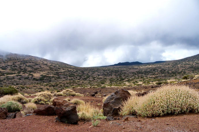 Nationalpark Teide, Teneriffa