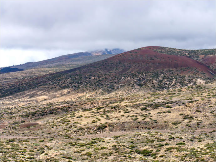 Nationalpark Teide, Teneriffa