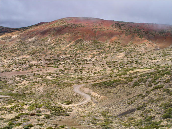 Nationalpark Teide, Teneriffa