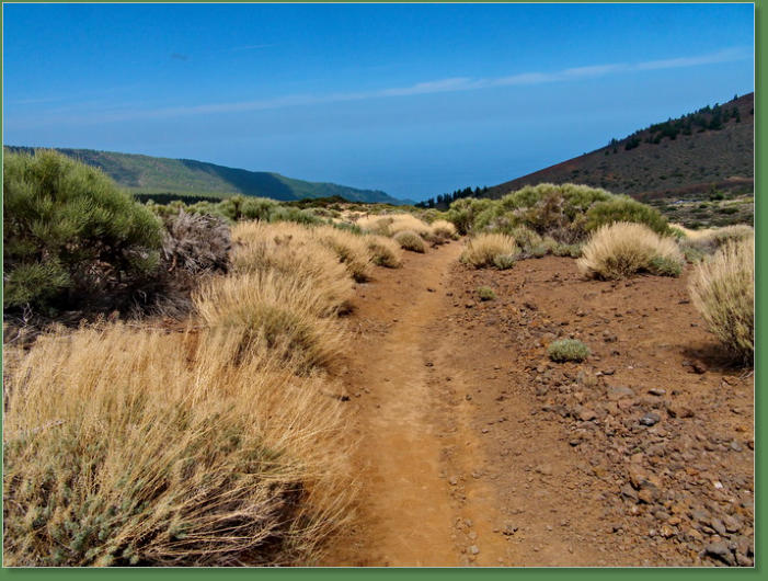 Wanderung Arenas Negras, Nationalpark Teide, Teneriffa