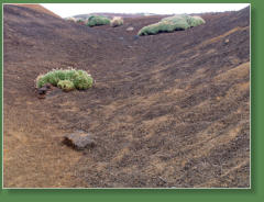 Wanderung Arenas Negras, Nationalpark Teide, Teneriffa