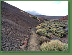 Wanderung Arenas Negras, Nationalpark Teide, Teneriffa