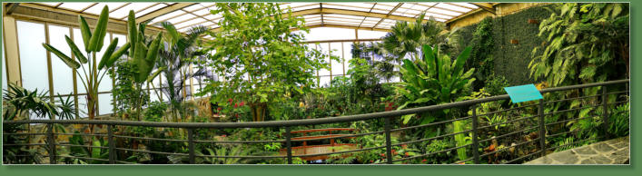 Mariposarium in Icod de los Vinos, Teneriffa