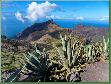 Anfahrt Masca, Teneriffa