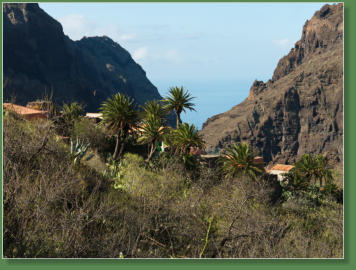 Masca, Teneriffa