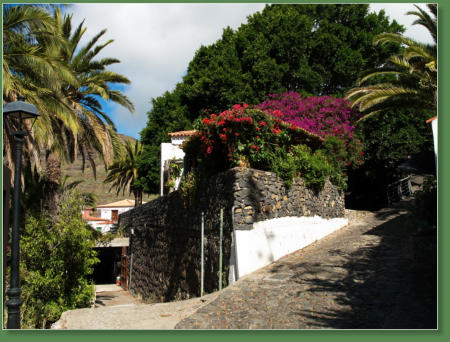 Wanderung durch die Masca-Schlucht, Teneriffa