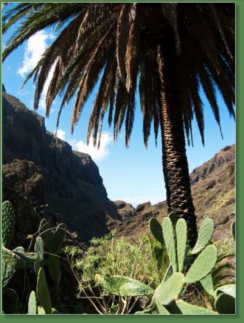 Wanderung durch die Masca-Schlucht, Teneriffa