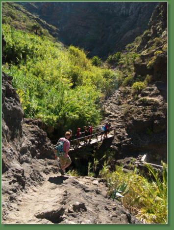 Wanderung durch die Masca-Schlucht, Teneriffa