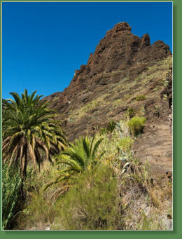 Wanderung durch die Masca-Schlucht, Teneriffa