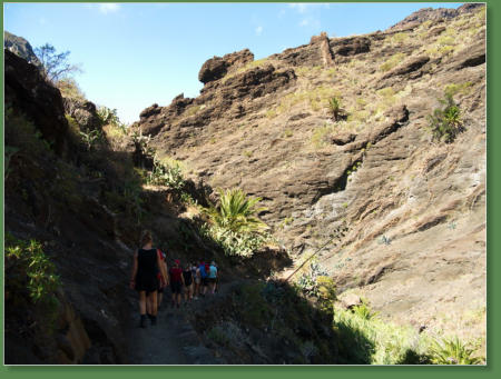 Wanderung durch die Masca-Schlucht, Teneriffa