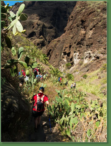 Wanderung durch die Masca-Schlucht, Teneriffa
