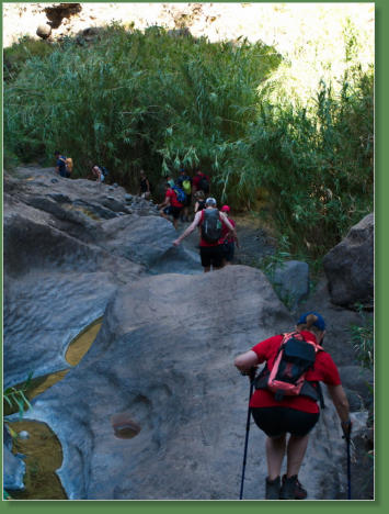 Wanderung durch die Masca-Schlucht, Teneriffa