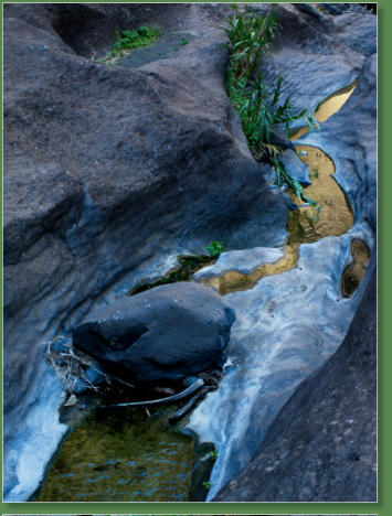 Wanderung durch die Masca-Schlucht, Teneriffa