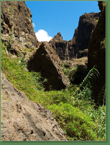 Wanderung durch die Masca-Schlucht, Teneriffa