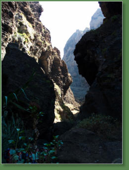 Wanderung durch die Masca-Schlucht, Teneriffa