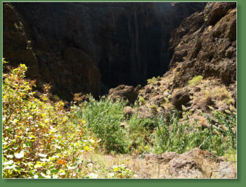 Wanderung durch die Masca-Schlucht, Teneriffa