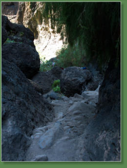 Wanderung durch die Masca-Schlucht, Teneriffa