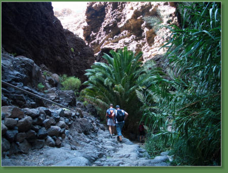 Wanderung durch die Masca-Schlucht, Teneriffa